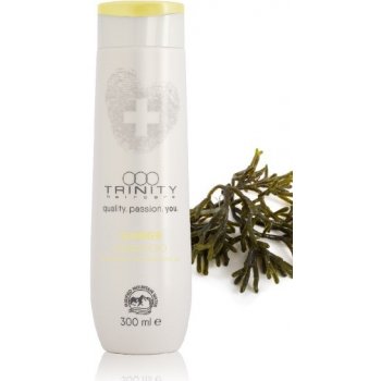 Trinity Summer Shampoo Sluneční šampon 75 ml od 6,04 € - Heureka.sk