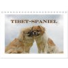 Tibet Spaniel Tisch DIN A5 quer CALVENDO Monats 2026
