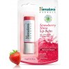 Himalaya Balzam na pery s jahodovým leskom, 4.5 g