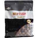 Dynamite Baits Boilies Hot Fish&GLM 1kg 26mm