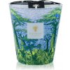 Baobab Collection Sacred Trees Yarani 16 cm
