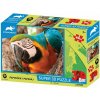 PRIME 3D Puzzle Papagáj 3D 48 dielikov