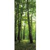 ForWall Fototapeta na dvere Les vlies 91 x 211 cm