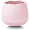 Stapelstein Dynamic Base rose