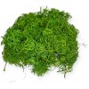 Sušený kučeravý aranžérsky mach 150g - Curly moss - svetlý zelený
