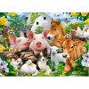 CASTORLAND Puzzle Priatelia na farme 60 dielikov