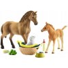 Schleich 42432 Set žriebä a Quarter kôň so šteniatkom a doplnkami