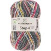 Austermann Step 4 Color 448 Pletacia priadza