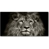 Fotoobraz na skle Lev 100x50 cm