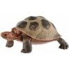 Korytnačka obrovská zooted 8cm