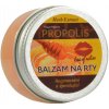 HERB EXTRACT Ochranný balzam na pery Propolis 25 ml