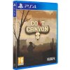Colt Canyon (PS4) 3760328371189