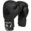 Boxerské rukavice DBX BUSHIDO B-2v12 6oz.