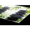 DIMEX | Plexisklo za kuchynskú linku PGT-08040-032 | 80 x 40 cm Kamene Zen + Plexisklo za kuchynskú linku DIMEX v rozmere 80 x 40 cm, Kamene Zen + Lepidlo zadarmo