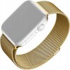 Fixed Mesh Strap nerezový remienok pre Apple Watch 38/40/41mm zlatý FIXMEST-436-GD