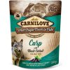 Carnilove Dog Pouch Paté Carp with Black Carrot 300 g