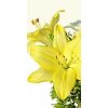 Vykurovací obraz 800W-22 (Dodanie do 5tich dní - Vyberte variantu prevedenia)