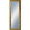 DANTIK - Zrkadlo v rámu, rozmer s rámom 60x160 cm z lišty ZVRATNÁ ozdobná zlatá (2888)