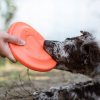 Akinu AQUA frisbee pena malá oranžová 17 cm