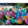 Diamondi Diamantové maľovanie - DÚHOVÉ TULIPÁNY Rámovanie: bez rámu a bez vypnutia plátna, Rozmer: 40x50 cm