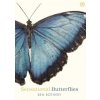 Sensational Butterflies