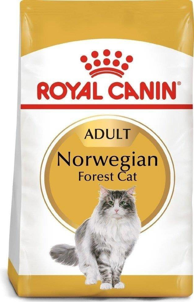 Royal Canin Norwegian Forest Cat 10 kg