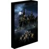 Obraz LED svietiaci 30x40, Harry potter - Bradavice