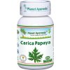 Planet Ayurveda Carica Papaya 60 kapsúl