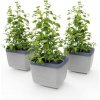 Gusta Garden Herbs Buddy samozavlažovací kvetináč svetlo-sivý, 3ks v balení GG-120F11