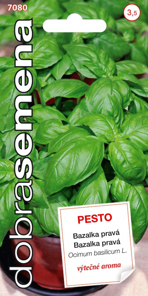 Dobré semená Bazalka pravá - Pesto, typ Genovese 0,3g