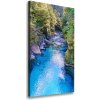 Vertikálny foto obraz canvas Rieka v lese 50x100 cm