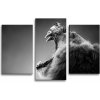 Sablio Obraz - 3-dílný Revúci lev - 75x50 cm