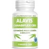ALAVIS CanabiFlex 30 tbl. (AKCIA)