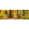 Dimex fototapeta Jesenné les M-478 | 330 x 110 cm (Vliesová fototapeta | lepidlo zdarma)
