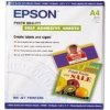 Epson S041106