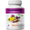 MycoMedica Ostropestřec Reishi Pampeliška - Pro podporu jater 90 kapslí