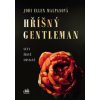 Hříšný gentleman - Jodi Ellen Malpasová