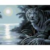 Zuty – Maľovanie podľa čísel – Biely tiger, rieka a spln (D. Rusty Rust), 80 × 100 cm, plátno 8596530187981