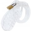 Hidden Desire Extreme Chastity Cock Cage Acrylic