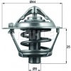 Termostat chladenia MAHLE ORIGINAL TX 113 82D (TX11382D)