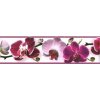 Samolepiaca bordúra B 83-07-02, rozmer 8,3 cm x 5 m, kvety orchideje fialové, IMPOL TRADE
