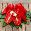 Paprika Snacking Red F1 - Capsicum annuum - semená papriky - 5 ks