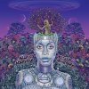 Erykah Badu - New Amerykah Part Two: Return Of The Ankh (Gatefold) (2 LP)