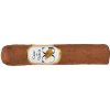 Casa de García Short Robusto (10)
