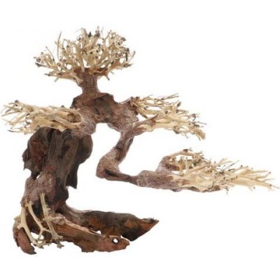 Dupla Bonsai M 30x15x23 cm