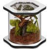 Terárium Terrario 0,02 l