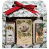Bohemia gifts & Cosmetics Vianočná kozmetická sada–Veselé Vianoce jablko škorica (BC210126)