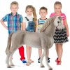 SCHLEICH Kone Figúrky Valach Plemeno Holszyńského koníka pre deti Hračka