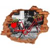 Samolepiaca diera na stenu City ​​bike 90x70 cm