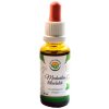 Salvia Paradise Meduňka lékařská AF tinktura 30 ml